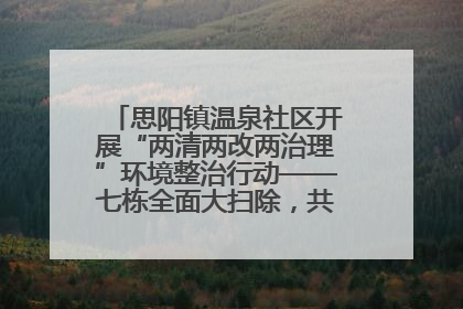 思阳镇温泉社区开展“两清两改两治理”环境整治行动——七栋全面大扫除，共建洁净家园