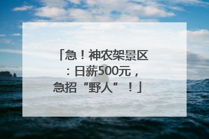 急！神农架景区：日薪500元，急招“野人”！