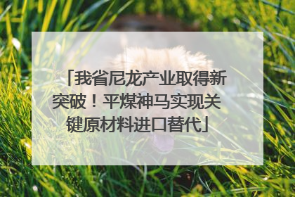 我省尼龙产业取得新突破！平煤神马实现关键原材料进口替代