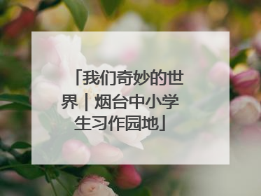 我们奇妙的世界｜烟台中小学生习作园地