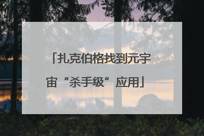 扎克伯格找到元宇宙“杀手级”应用