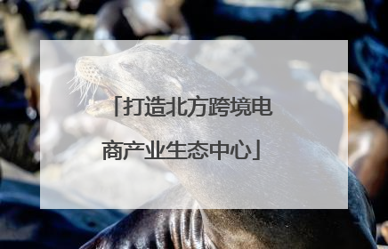 打造北方跨境电商产业生态中心
