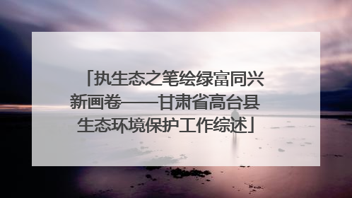 执生态之笔绘绿富同兴新画卷——甘肃省高台县生态环境保护工作综述