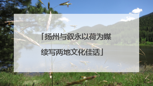 扬州与叙永以荷为媒续写两地文化佳话