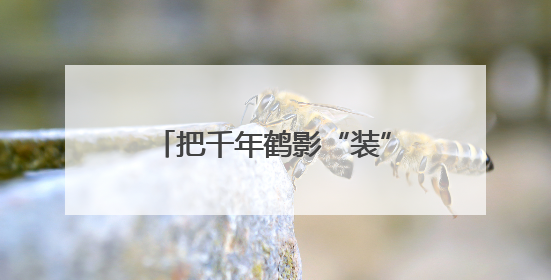 把千年鹤影“装”进游客行囊 黄鹤楼文创产品年销百万件背后的诗意转身