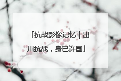 抗战影像记忆｜出川抗战，身已许国