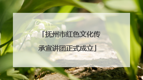 抚州市红色文化传承宣讲团正式成立