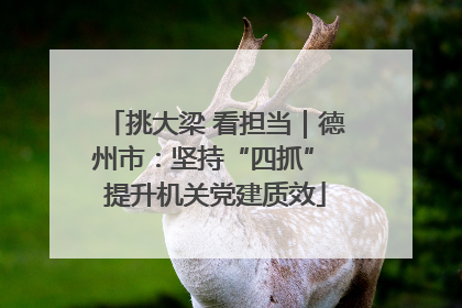 挑大梁 看担当｜德州市：坚持“四抓” 提升机关党建质效