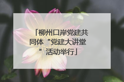 柳州口岸党建共同体“党建大讲堂”活动举行