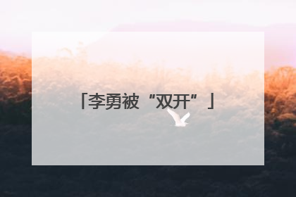 李勇被“双开”