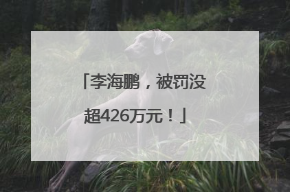 李海鹏，被罚没超426万元！