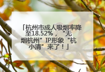 杭州市成人吸烟率降至18.52%，“无烟杭州”IP形象“杭小清”来了！