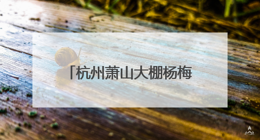 杭州萧山大棚杨梅迎丰收，96颗能卖到400元！