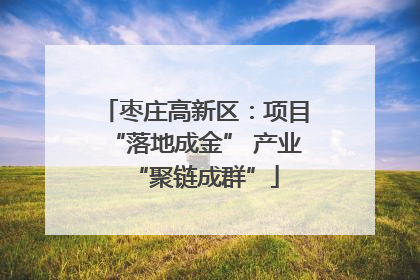 枣庄高新区：项目“落地成金” 产业“聚链成群”