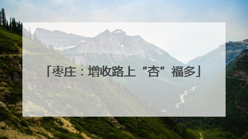 枣庄：增收路上“杏”福多