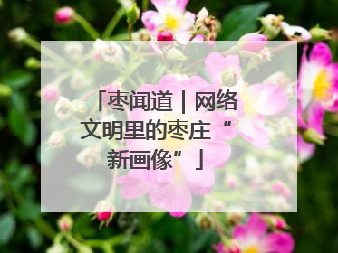 枣闻道｜网络文明里的枣庄“新画像”