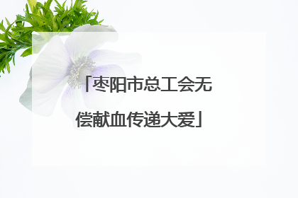 枣阳市总工会无偿献血传递大爱