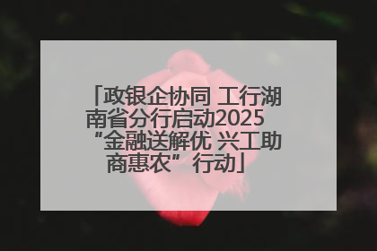 政银企协同 工行湖南省分行启动2025“金融送解优 兴工助商惠农”行动