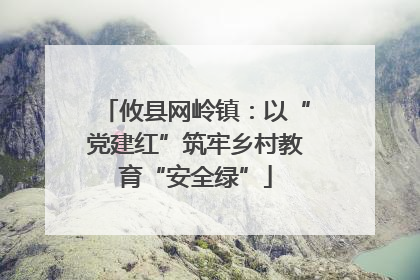 攸县网岭镇：以“党建红”筑牢乡村教育“安全绿”