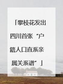 攀枝花发出四川首张“户籍人口直系亲属关系谱”