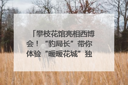 攀枝花馆亮相西博会！“豹局长”带你体验“暖暖花城”独特魅力｜西博视界