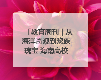 教育周刊｜从海洋奇观到黎族瑰宝 海南高校博物馆很有料