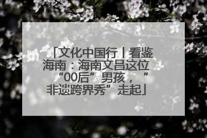 文化中国行丨看鉴海南：海南文昌这位“00后”男孩，“非遗跨界秀”走起
