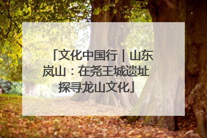 文化中国行｜山东岚山：在尧王城遗址探寻龙山文化