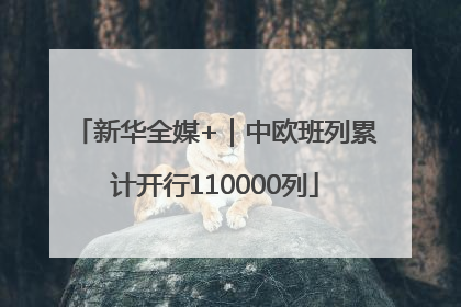 新华全媒+｜中欧班列累计开行110000列