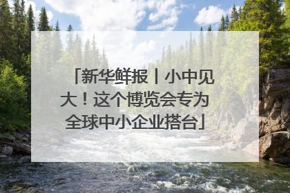 新华鲜报丨小中见大！这个博览会专为全球中小企业搭台