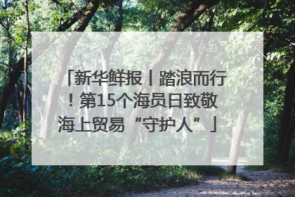 新华鲜报丨踏浪而行！第15个海员日致敬海上贸易“守护人”