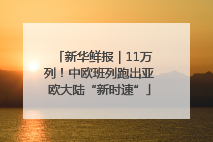 新华鲜报｜11万列！中欧班列跑出亚欧大陆“新时速”