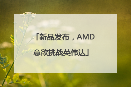 新品发布，AMD意欲挑战英伟达
