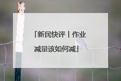 新民快评丨作业减量该如何减