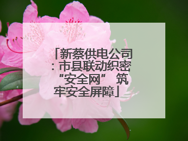 新蔡供电公司：市县联动织密“安全网” 筑牢安全屏障