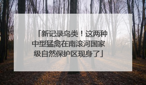 新记录鸟类！这两种中型猛禽在南滚河国家级自然保护区现身了
