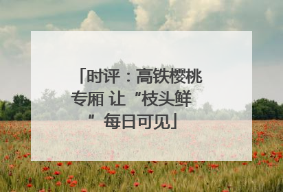 时评：高铁樱桃专厢 让“枝头鲜”每日可见