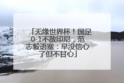 无缘世界杯！国足0-1不敌印尼，范志毅语塞：早没信心了但不甘心