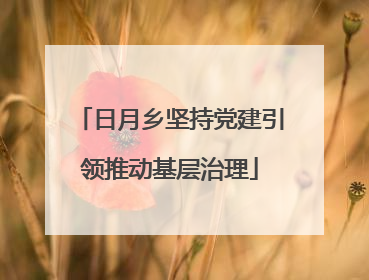 日月乡坚持党建引领推动基层治理