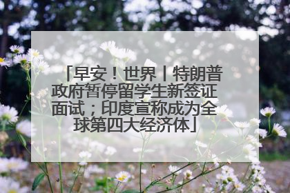 早安！世界丨特朗普政府暂停留学生新签证面试；印度宣称成为全球第四大经济体