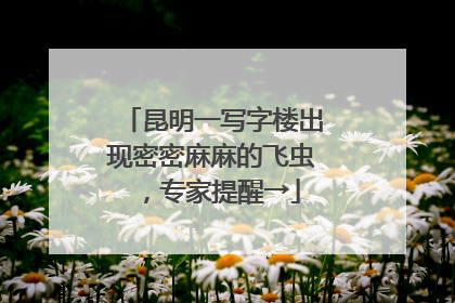 昆明一写字楼出现密密麻麻的飞虫，专家提醒→