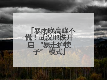 暴雨晚高峰不慌！武汉地铁开启 “暴走护犊子” 模式