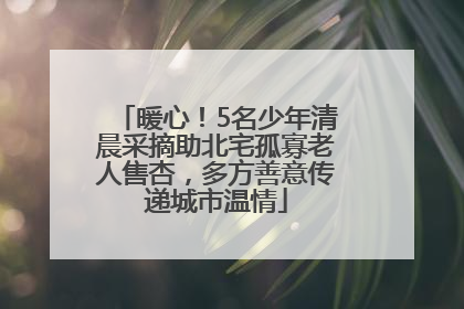 暖心！5名少年清晨采摘助北宅孤寡老人售杏，多方善意传递城市温情