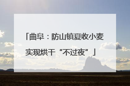 曲阜：防山镇夏收小麦实现烘干“不过夜”