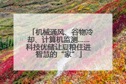 机械通风、谷物冷却、计算机监测……科技优储让夏粮住进智慧的“家”