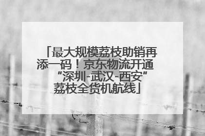 最大规模荔枝助销再添一码！京东物流开通“深圳-武汉-西安” 荔枝全货机航线