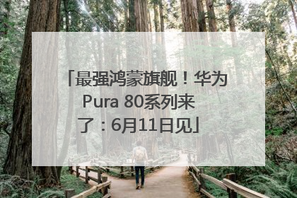 最强鸿蒙旗舰！华为Pura 80系列来了：6月11日见