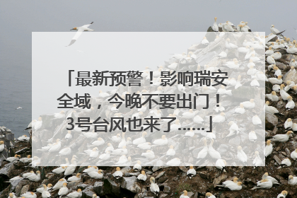 最新预警！影响瑞安全域，今晚不要出门！3号台风也来了……