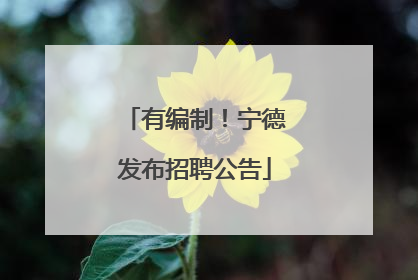 有编制！宁德发布招聘公告
