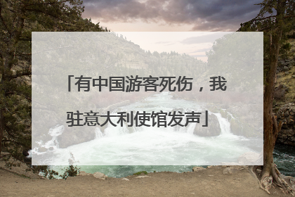 有中国游客死伤，我驻意大利使馆发声